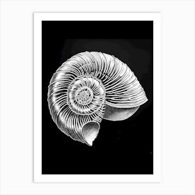 Nautilus Shell 13 Art Print