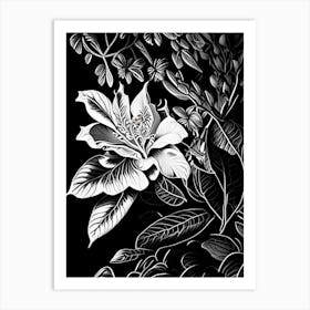 Rhododendron Leaf Linocut 2 Art Print