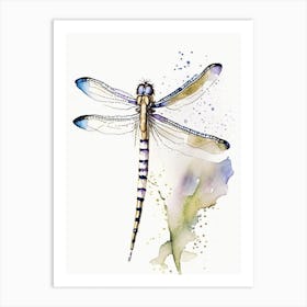 Twelve Spotted Skimmer Dragonfly Minimalist Watercolour 1 Art Print