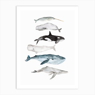 Sea Life Whales Art Print