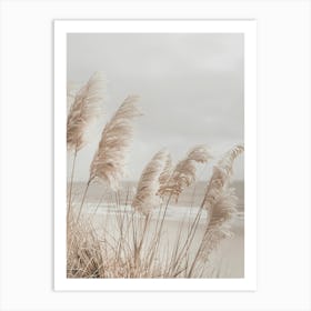 Pampas Grass At The Beach Art Print