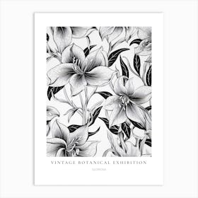 Gloriosa B&W Vintage Botanical Poster Art Print