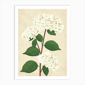 Hydrangea 15 Art Print