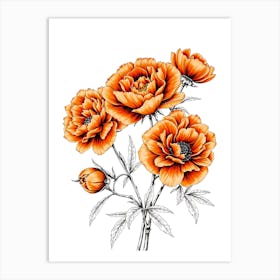 Orange Peonies Art Print