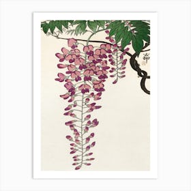 Blooming Wisteria (1900 1930), Ohara Koson Art Print