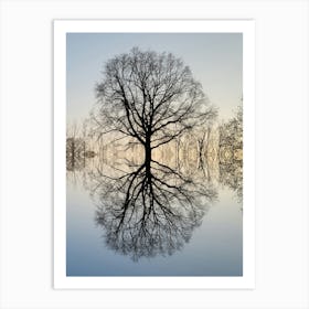 Reflection of a tree at sunset Art Print