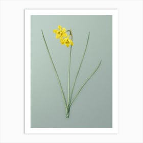Vintage Narcissus Odorus Botanical Art on Mint Green Art Print