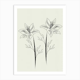 Lily Lines on Paper Art Print