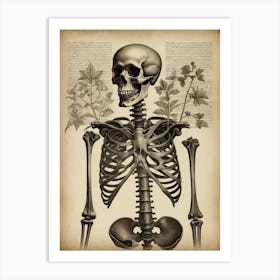 Botanical Skeleton Vintage Flowers Painting (74) Art Print