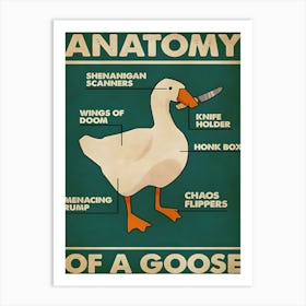 Anatomy Of A Goose Art Print