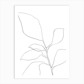6 Leaf Plant Art Print