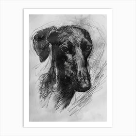 Sloughi Dog Charcoal Line Art Print