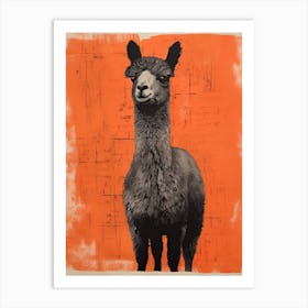 Alpaca, Woodblock Animal Drawing 3 Art Print