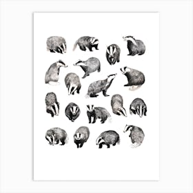 Badgers Art Print