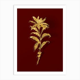 Vintage February Daphne Flowers Botanical in Gold on Red n.0175 Art Print
