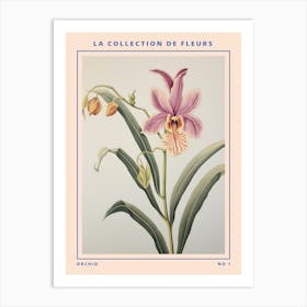 Orchid French Flower Botanical Poster Art Print