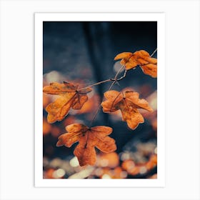 Beautiful Golden Autumn Leaves Art Print