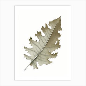 Oak Leaf 2 Art Print