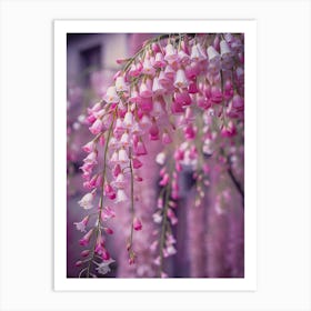 Pink Wisteria Art Print