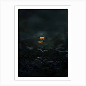 Flower In The Dark 30 Art Print