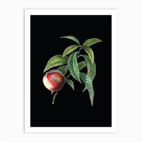 Vintage Peach Botanical Illustration on Solid Black n.0288 Art Print