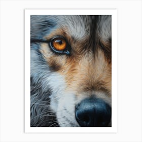 Himalayan Wolf Eye 1 Art Print