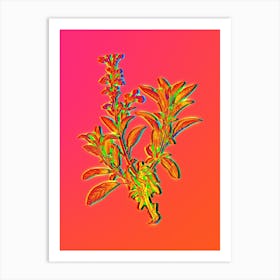 Neon Garden Sage Botanical in Hot Pink and Electric Blue n.0419 Art Print