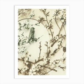 Bird On A Branch 1 Art Print