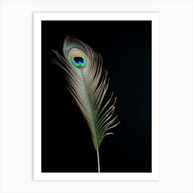 The Peacock Art Print