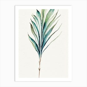 Yucca Leaf Minimalist Watercolour 6 Art Print