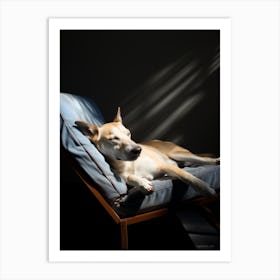 Dog In The Sun 2 Art Print