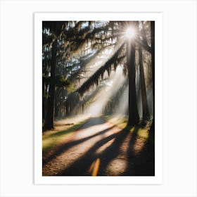 Sun Shining Through Trees Art Print