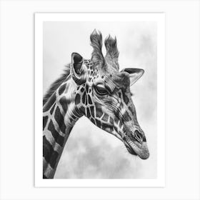 Giraffe Portrait Pencil Drawing Art Print