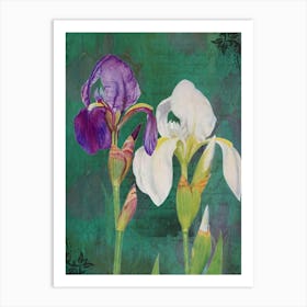 Two Irises Art Print