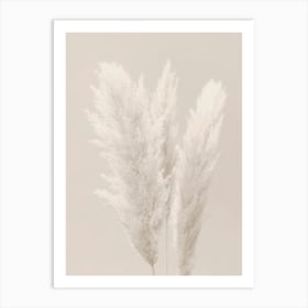 Pampas Grass Beige_2160444 Art Print