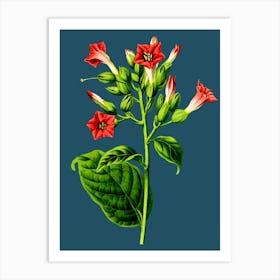 Hibiscus Art Print