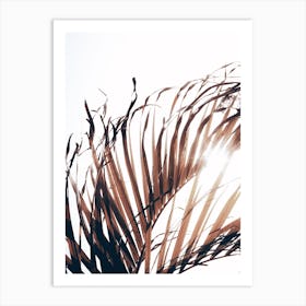 Dried Palm Leaf Art Print