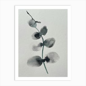 Eucalyptus Art Print