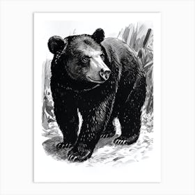 Malayan Sun Bear Standing In A Forests Ink Illustration 2 Art Print