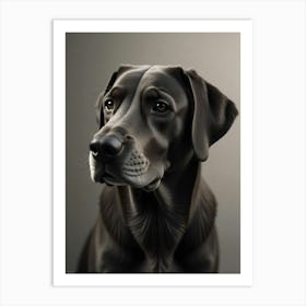 Labrador Retriever Art Print