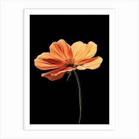 Single Orange Flower 13 Art Print