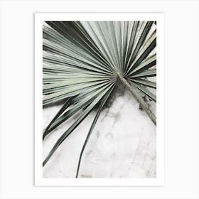 Palm Leaf On Marble 1 Art Print