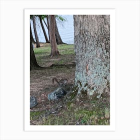 Squirrel At The Lake Art Print