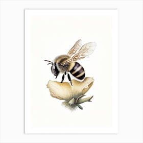 Solitary Bee 3 Vintage Art Print