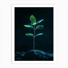 Tree Growing On The Rock Art Print