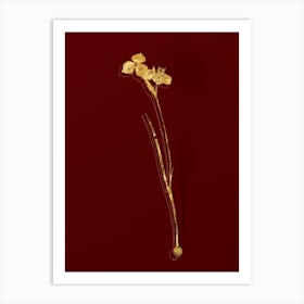 Vintage Vieusseuxia Glaucopis Botanical in Gold on Red n.0418 Art Print