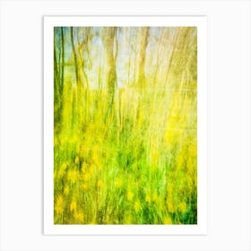 Woodland Daffodils Art Print