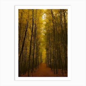 Autumn Forest 68 Art Print