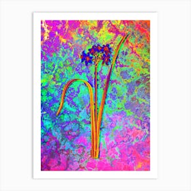 Cowslip Cupped Daffodil Botanical in Acid Neon Pink Green and Blue n.0198 Art Print