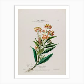 Lily Of The Valley 10 Art Print